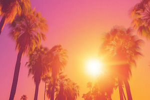 Tropical Palm Trees at Sunset with Vibrant Colors, an Abstract Photo by Natalia Klenova's Shop