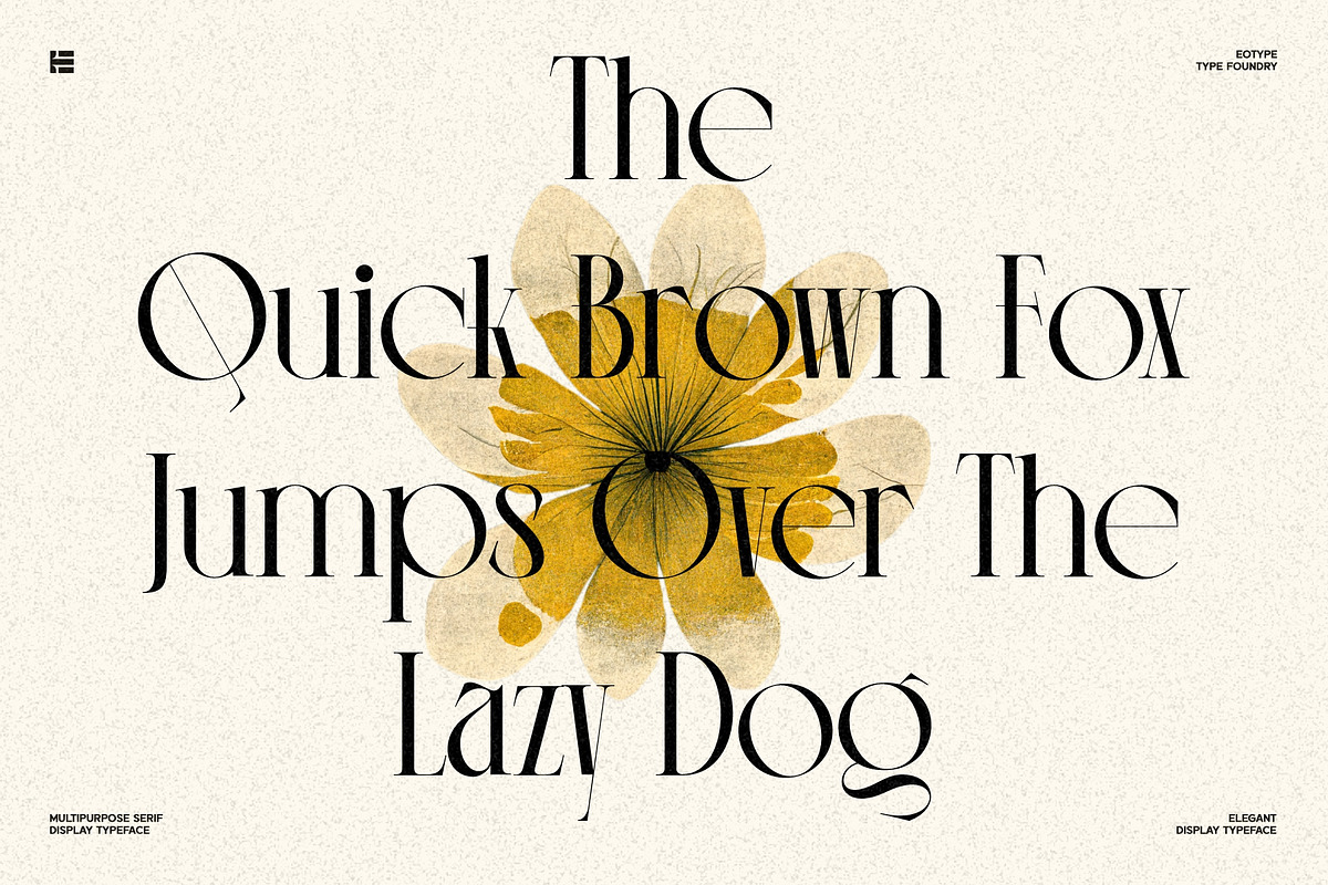 Monico Display Font, a Serif Font by Eotype Studio (Photo 4 of 11)