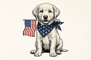 4Th of July Patriotic USA Flag PNG, a Seasonal Illustration by Canvas Craft