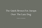 Olynthon - Modern Stylish, a Sans Serif Font by RockboyStd (Thumbnail 7 of 12)
