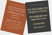 Politano Edition, a Script Font by Letter Fresh (Thumbnail 11 of 13)