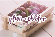 Plum Cobbler Handwritten Font, a Script Font by Beck McCormick (Thumbnail 1 of 10)