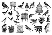 Birds Vintage Vector Illustrations, an Illustration by hypegraphic (Thumbnail 3 of 4)