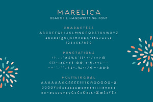 Marelica Font & Procreate Brushes