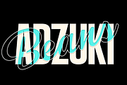 Kiosk Font Pack, a Sans Serif Font by Fenotype (Thumbnail 9 of 12)