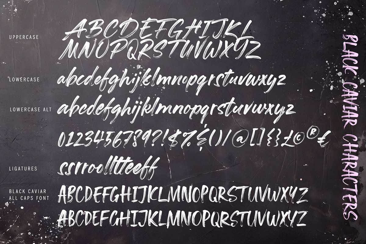 Black Caviar SVG Font, a Script Font by Ivan Rosenberg (Photo 9 of 10)