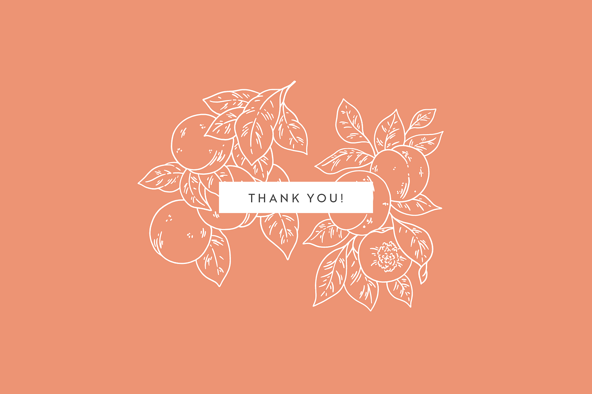 Fruit Garden Vector Illustrations, a Decorative Illustration by Emma Webb Studio (Photo 7 of 7)
