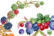 Watercolor berries clip art., a Food Illustration by Mary (Thumbnail 4 of 4)