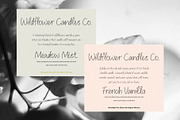 Notes from Paris Legible Script Font, a Handwritten Font by PeachCreme (Thumbnail 3 of 9)
