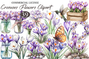 Watercolor Crocuses Flowers ClipArt, an Illustration by designcity5