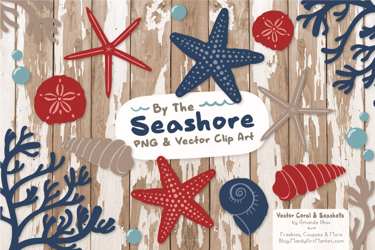 Seashells Clipart in Americana, an Illustration by Amanda Ilkov (Photo 2 of 5)