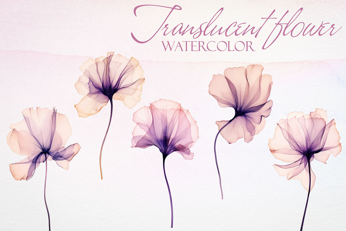 Watercolor Translucent Flower Vector, a Pattern Graphic by Deckar_art (Photo 1 of 5)