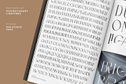 Brighter Paradise, a Serif Font by din-studio.com (Thumbnail 11 of 15)