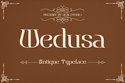 Wedusa, a Serif Font by Sign Studio (Thumbnail 1 of 10)