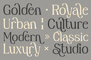 Sealine, a Serif Font by din-studio.com (Thumbnail 8 of 11)
