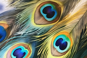 Watercolor Peacock Feathers