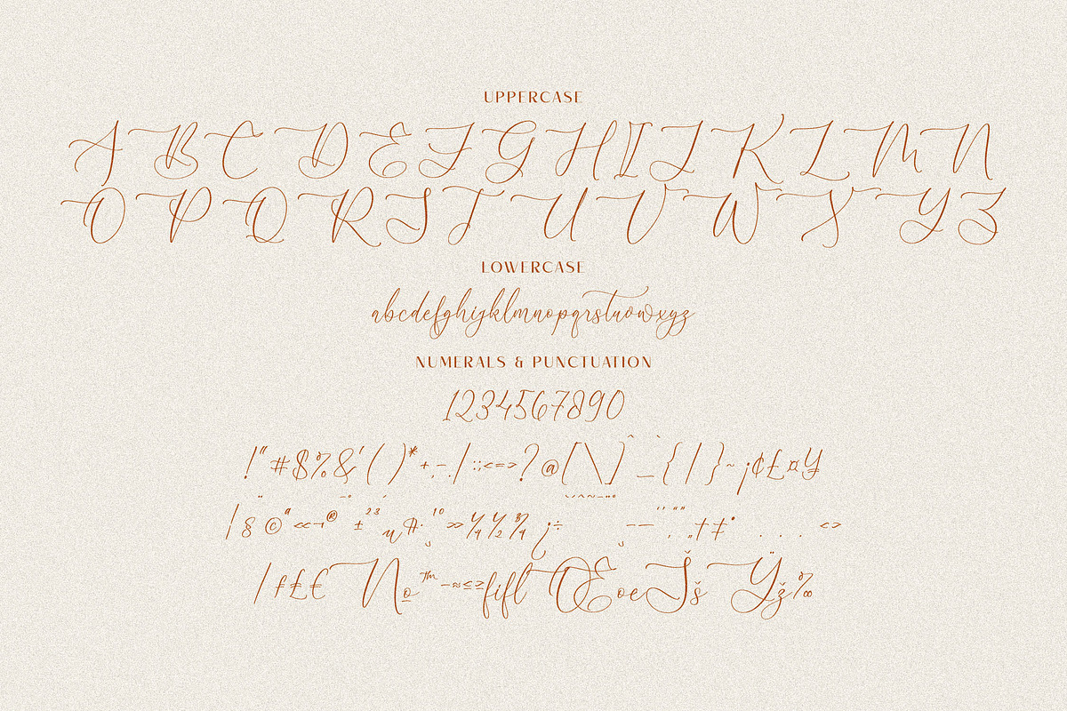 Robima Merttha Font Duo, a Script Font by Storytype Studio (Photo 13 of 15)