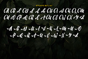Moonway - A Hand Brush Typeface, a Script Font by SemutHitam Creative (Thumbnail 8 of 10)