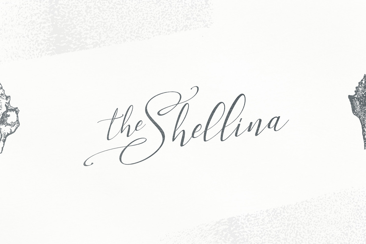 Milova | Modern Calligraphy font, a Script Font by creativemedialab (Photo 4 of 7)