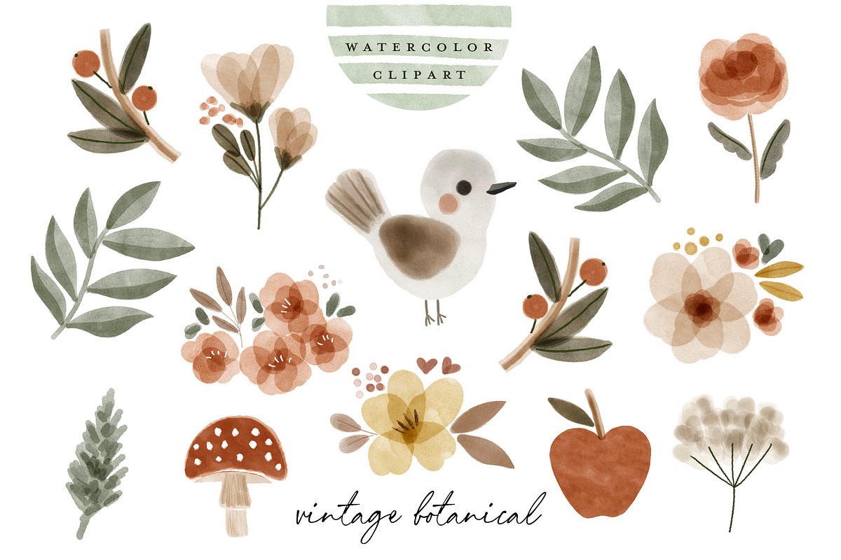 64 Boho Woodland Animal Clipart, an Animal Illustration by beatriceviyiwi (Photo 5 of 6)