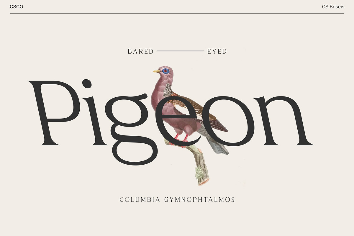CS Briseis – Luxury Serif Font, a Serif Font by Craft Supply Co. (Photo 5 of 8)