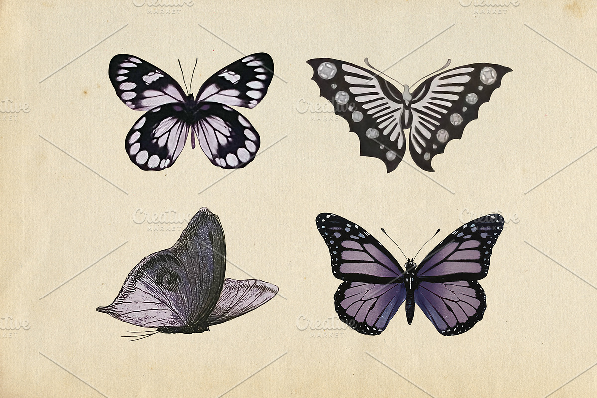 Whispers of Lavender Antique Clipart, a Decorative Illustration by Patterns for Dessert (Photo 4 of 6)