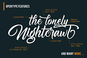 Nightfall Script, a Script Font by figuree studio (Thumbnail 3 of 9)