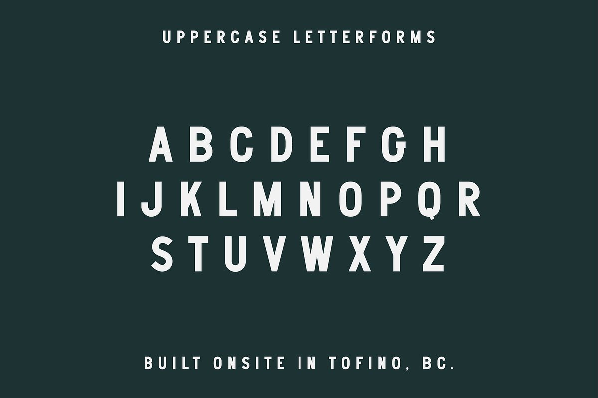 North Chestermans Font, a Font by Studio Alexander (Photo 2 of 9)