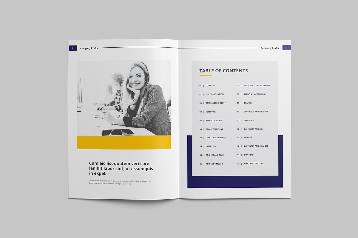 Proposal Brochure Template, a Brochure Template by Tanber Hossen (Photo 11 of 14)