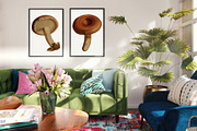 Vintage Mushrooms & Snails Clip Art, an Animal Illustration by Patterns for Dessert (Thumbnail 6 of 6)