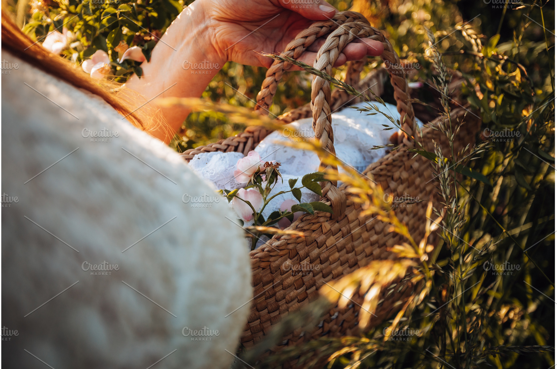 Wild rose flower on lace cloth in, a Food & Drink Photo by oksix