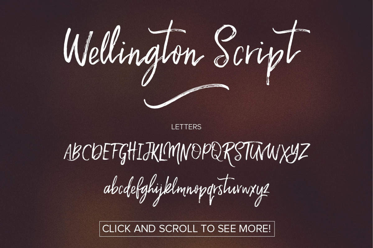Wellington Script Font preview 3