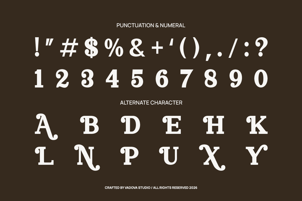 Norvane Decorative Serif Font, a Serif Font by Vadovastd (Photo 3 of 9)