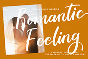 Tropical Crystals Bold Calligraphy, a Script Font by stylishtype.co (Thumbnail 14 of 20)