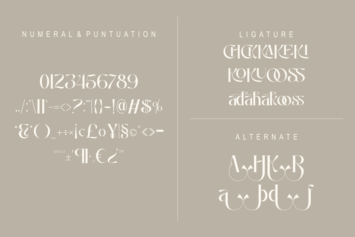 Raniosa, a Serif Font by Kenrichi (Photo 7 of 10)