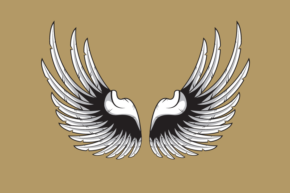 160 Pairs of Vector Wings, an Object Graphic by Damien (Photo 7 of 17)