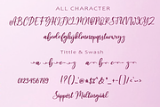 Moline, a Script Font by AMINMARIO (Thumbnail 11 of 12)