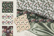 Botanical illustration of figs, a Graphic by RushkinaAntonina (Thumbnail 3 of 6)