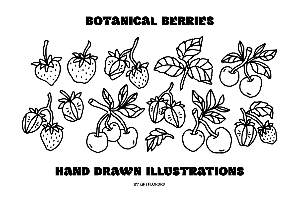 Hand Drawn BOTANICAL BERRIES, an Object Graphic by Artflorara (Photo 5 of 9)