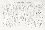 Line Art Wild Flowers Illustrations, a Decorative Illustration by La Petite Line Art (Thumbnail 2 of 12)