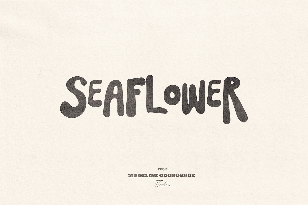 SeaFlower | Hand Drawn Surf Font, a Handwritten Font by Madeline ODonoghue Design (Photo 1 of 12)