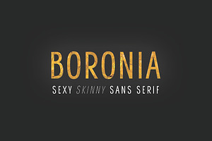 Boronia
