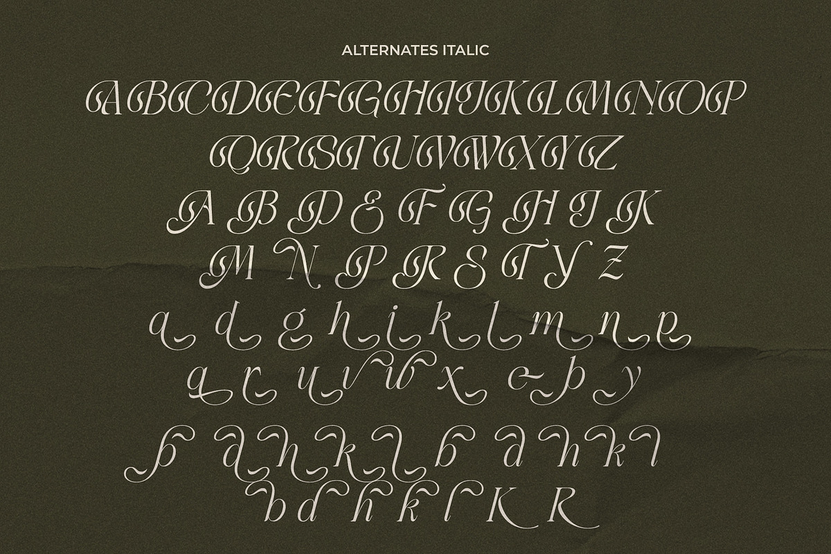 LT Rogile - Modern Serif Typeface, a Serif Font by Luminotype (Photo 19 of 20)