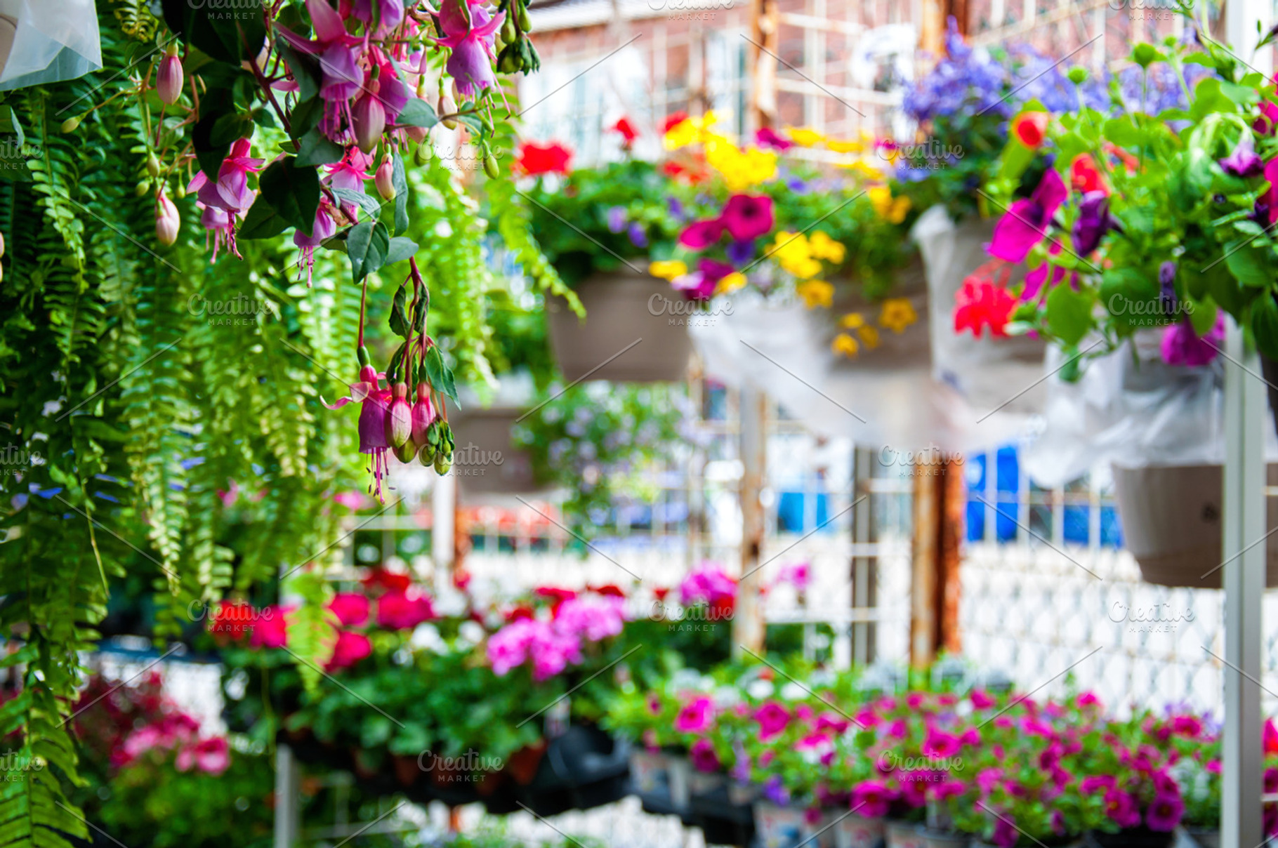 Flower market featuring market, decoration, and flowers, a Nature Photo by RosyMaple