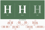 Christmas Mystery, a Script Font by Larin Type Co. (Thumbnail 4 of 11)