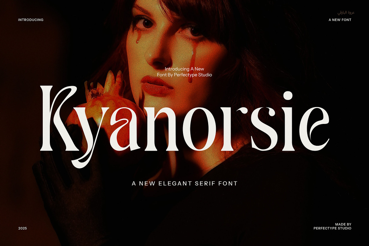 Kyanorsie Elegant Serif Font, a Serif Font by Perfectype (Photo 1 of 8)