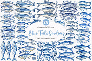 Blue Toile Sardines PNG, an Illustration by SinaCreation (Thumbnail 1 of 5)