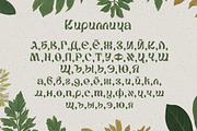 EcoSans — Minimalist Nature Font, a Sans Serif Font by Fractal fonts & graphics (Thumbnail 3 of 7)