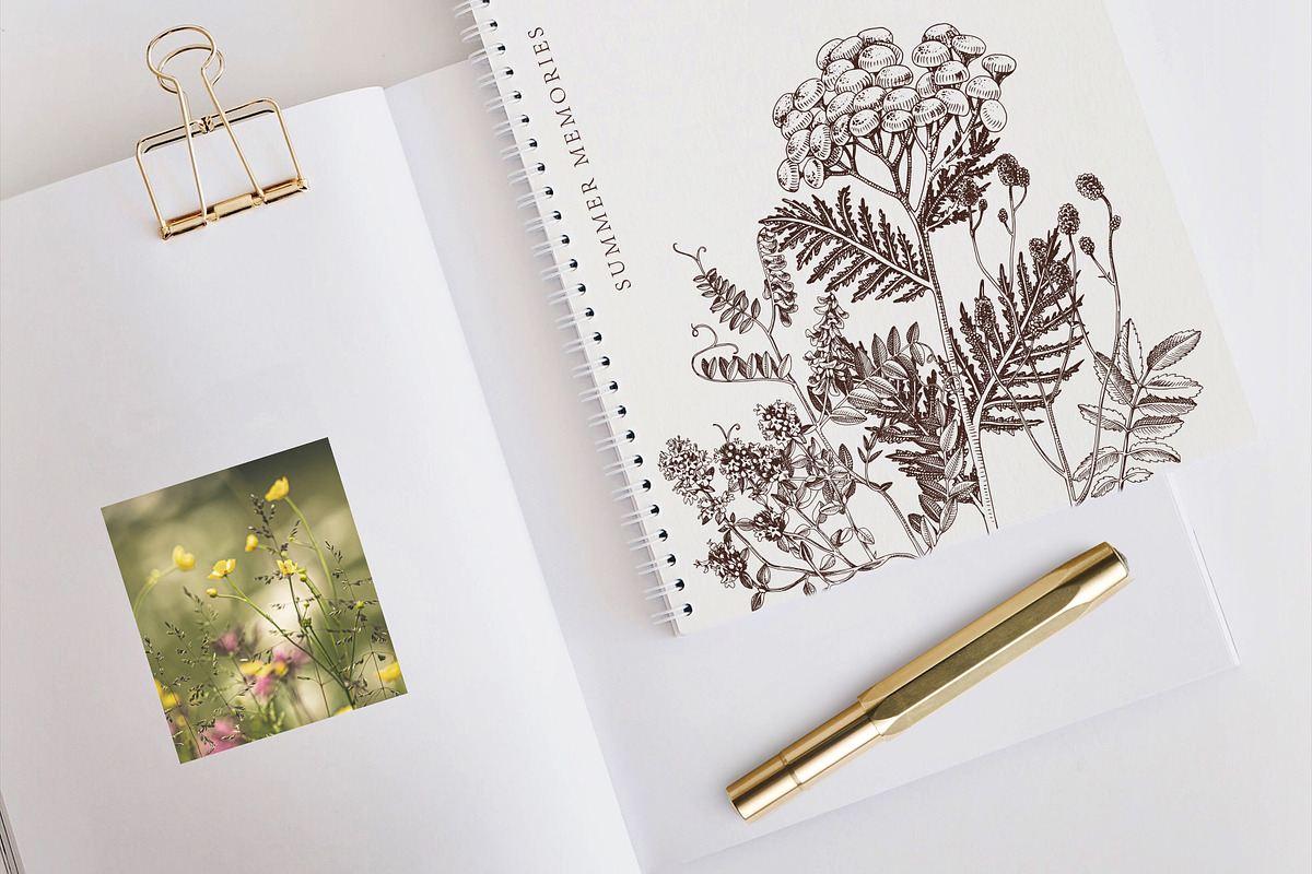 Hand drawn medicinal herbs, a Healthcare Illustration by handsketched (Photo 5 of 14)
