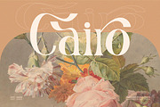 Nadier - Classic Retro Typeface, a Serif Font by Flawless And Co (Thumbnail 8 of 12)
